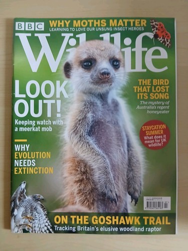 Bbc wildlife july - july, 2021