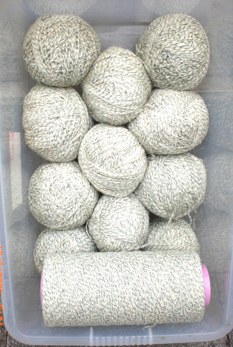 Wool off cheviot sheep - off,