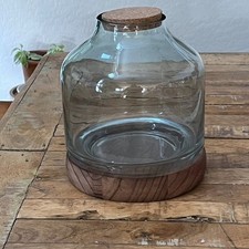 Glass Terrarium 6.5" with