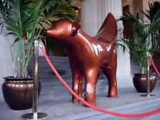 Photo 6x4 Super lamb banana