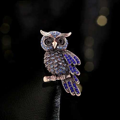 Blue midnight owl - midnight,