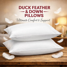 Duck Feather & Down Pillows