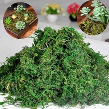 200g Artificial Reindeer Moss