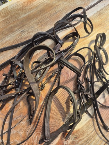 Job lot quality pony - quality, bridles