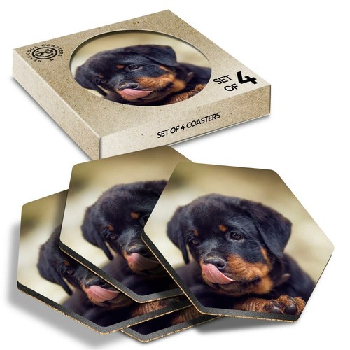 Hexagon coasters cute - hexagon,