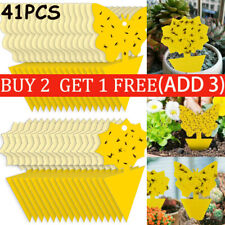 41 Pack Fruit Fly Traps Yellow Fungus Gnat Killer, Double-sided Sticky Fruit Fly