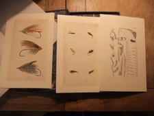 Francis Francis Portfolio from