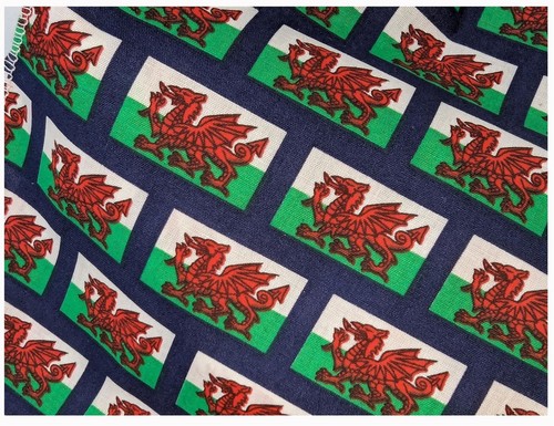 Childs wales flag welsh - wales,