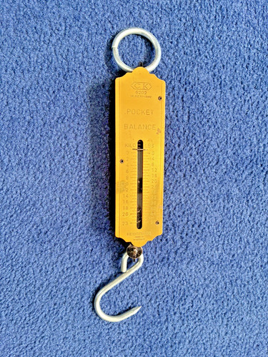Vintage brass pocket spring - brass,