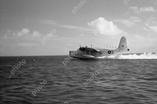 The raf short - the,