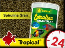 TROPICAL SPIRULINA 6% GRANULATE   MARINE & MALAWI MBUNA FISH FOOD Aquarium