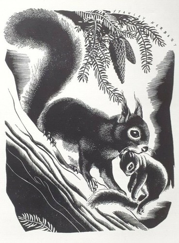 Red squirrel kit - kit, 1940s