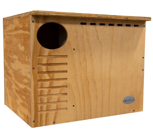 Jcs wildlife barn owl - barn, nesting