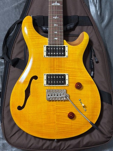 Rare prs custom22 - prs,