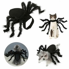 Halloween Pet Black Spider