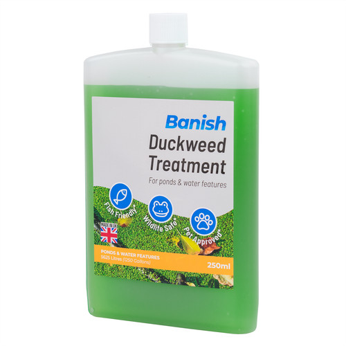 Banish duckweed pond - duckweed,