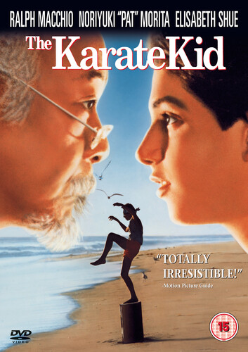 The karate kid dvd - karate,