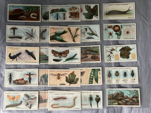 Cigarette cards garden life - cigarette,