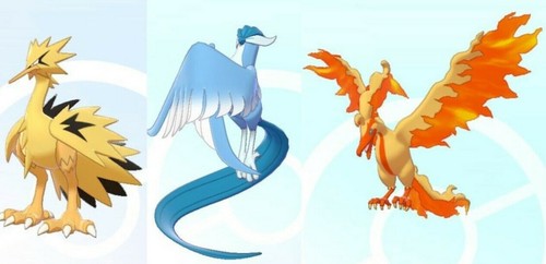 Event shiny galarian articuno - galarian,