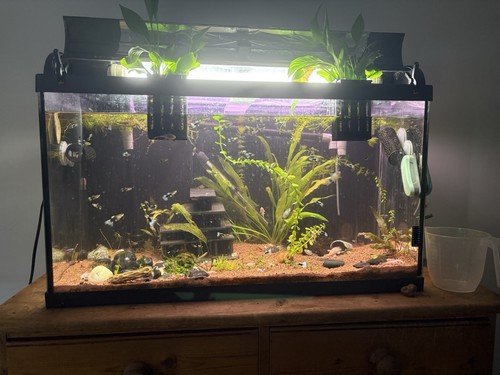 120l aquarium fish - /, tank