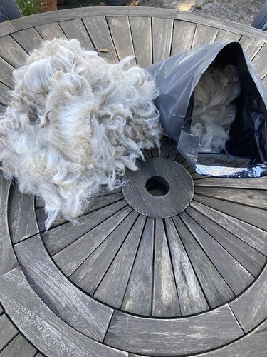 Alpaca fleece for bird nesting - alpaca,