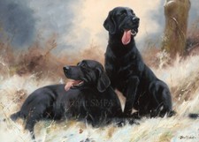 Labrador Christmas cards