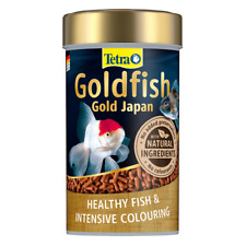 Tetra Goldfish Gold Japan