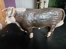 Vintage Hereford Horned