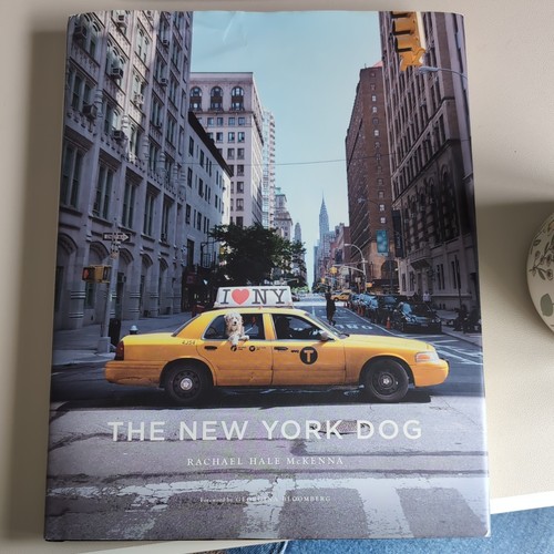 The new york dog hale - york,