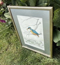 Perched Kingfisher Vintage