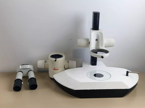 Leica mz12 microscope stereo - microscope,