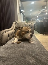 Z Gapped Solid Oak Furniture Console Table With Drawers
