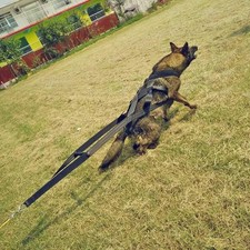Dog Weight Pulling Harness for