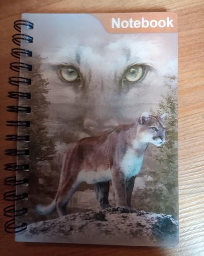 Spiral bound mountain - spiral,