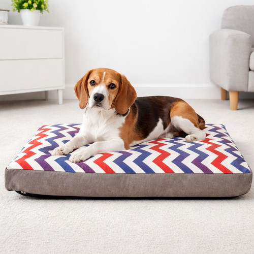 Luxury geometric design - geometric, dog