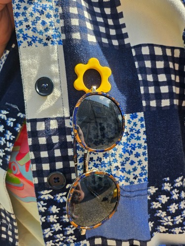 Sunglasses holder pin - sunglasses,