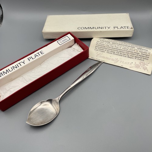 Oneida community jelly spoon - oneida,