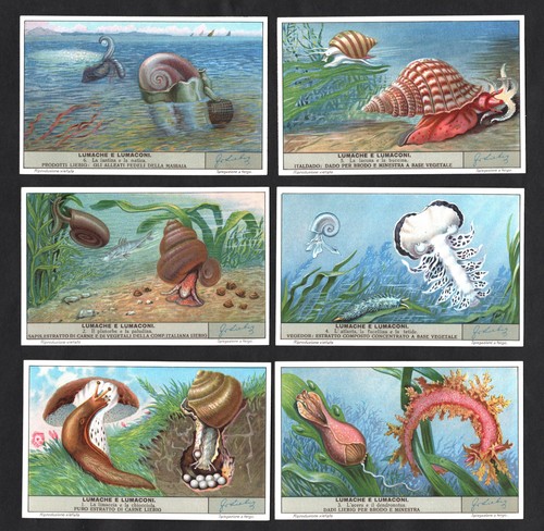Slugs snails liebig card - slugs,