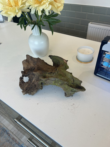 Large aquarium driftwood - aquarium,