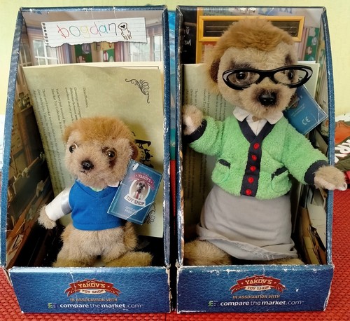 Meerkats maiya bogdan - &,
