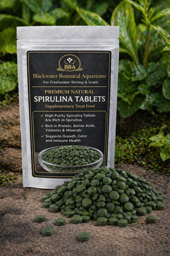Spirulina tablets aquarium - tablets,