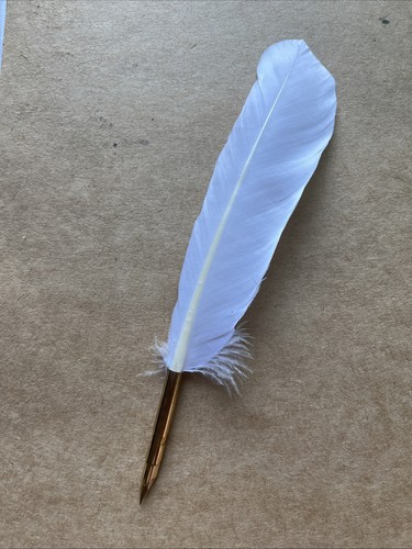 White quill feather pen with - white,
