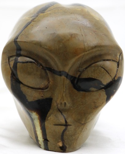 Fantastic dragon septarian - xl,