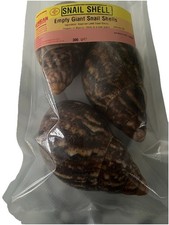 Empty shells africa - shells,