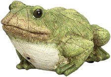 Frog Motion Sensor Garden