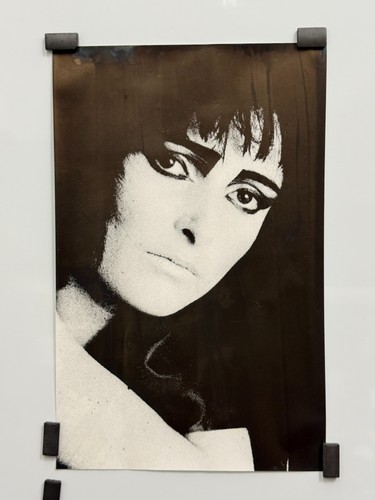 Rare 1981 siouxsie - 1981,