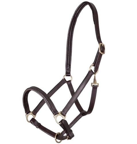 Shires velociti gara ragley - velociti,