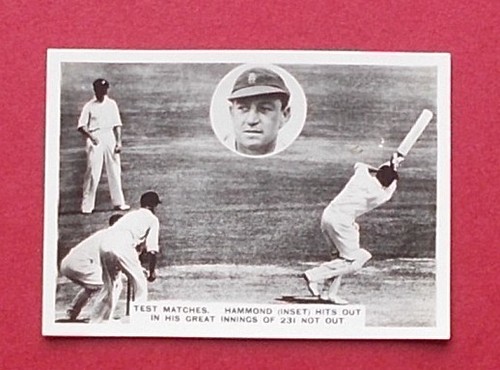 Cricket ardath - ,
