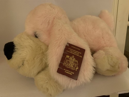 Bhs passport pals - passport,