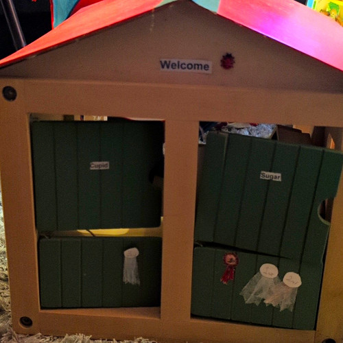 Elc wooden stables - stables, with